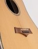 Arrow Platinum D CE SIT RW Sitka Rosewood